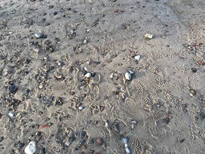 Praktikant / Werkstudent Rau Interim