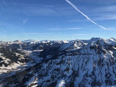 Interim Customer / Trade Marketing