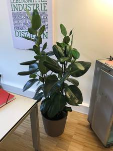 DDIM Veranstaltung 03.07.17